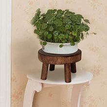 Sgabello per piante in legno, sgabello per fiori, sgabello in legno naturale, supporto decorativo per vasi di fiori, stile rustico, tavolino da caffè, sgabello per fiori, sgabello di base (marrone, L)