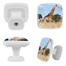 giraffa 4 PCS Pomelli per Porta, Pomolo per Mobile, Pomelli per Mobili con Viti, Maniglia per Armadietto, Pomelli per Porta, Pomelli per Cassetti per Porta, Armadio, Cassetto e Credenza