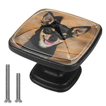 cane carino Pomelli per Porta Set di 4 Pomelli per Mobili Manopole per Cassetti Cucina Armadio Vetro