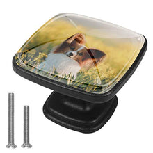 Papillon di cane in un campo di fiori Primavera animali domestici Pomelli per Porta 4 Pezzi Manopole per Mobili da Cucina Pomelli per Mobili Pomelli Per Cassetti/Cucina/Armadio Antichi
