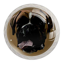 Faccia di cane animale 4 PCS Pomelli per Porta, Pomolo per Mobile, Pomelli per Mobili con Viti, Maniglia per Armadietto, Pomelli per Porta, Pomelli per Cassetti per Porta, Armadio, Cassetto e Credenza