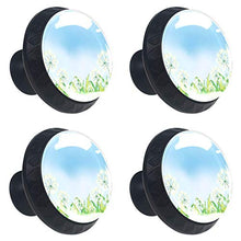Set di 4 maniglie rotonde per armadio da cucina, credenza, cassettiera, cassettiera, con viti, per cucina, comò, armadietto, bagno, armadio Le erbacce, dente di leone sotto il cielo blu