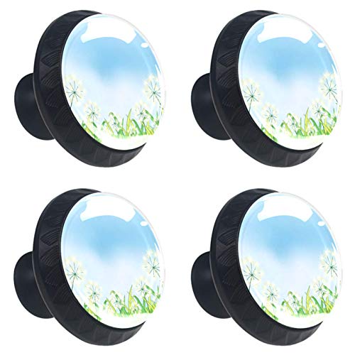 Set di 4 maniglie rotonde per armadio da cucina, credenza, cassettiera, cassettiera, con viti, per cucina, comò, armadietto, bagno, armadio Le erbacce, dente di leone sotto il cielo blu