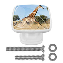 giraffa 4 PCS Pomelli per Porta, Pomolo per Mobile, Pomelli per Mobili con Viti, Maniglia per Armadietto, Pomelli per Porta, Pomelli per Cassetti per Porta, Armadio, Cassetto e Credenza