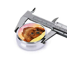 Scatola rotonda per medicina portatile, mini pillole in metallo, dispenser per pillole tascabili, borsa da viaggio, Cavalier King Charles Spaniel