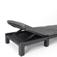 Allibert Daytona SL Lettino Prendisole, Grafite/Grigio Freddo (Imbottitura in Policotone), 195 x 65 x 22 cm