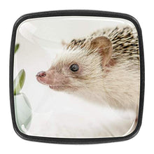 Pianta animale 4 PCS Pomelli per Porta, Pomolo per Mobile, Pomelli per Mobili con Viti, Maniglia per Armadietto, Pomelli per Porta, Pomelli per Cassetti per Porta, Armadio, Cassetto e Credenza