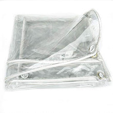 SDFGO Telo Impermeabile Telone Trasparente in PVC 450 G/M² Spessore 0,3 Mm, Anelli Distanza 50 Mm Tenda da DocciaFiore Barbecue(Size:2 * 3m)