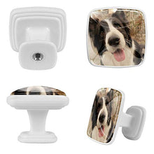 Border collie (2) 4 PCS Pomelli per Porta, Pomolo per Mobile, Pomelli per Mobili con Viti, Maniglia per Armadietto, Pomelli per Porta, Pomelli per Cassetti per Porta, Armadio, Cassetto e Credenza