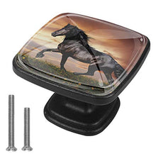Prato del cavallo nero 4 PCS Pomelli per Porta, Pomolo per Mobile, Pomelli per Mobili con Viti, Maniglia per Armadietto, Pomelli per Porta, Pomelli per Cassetti per Porta, Armadio, Cassetto e Credenza