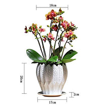 ZYLE Forma Modern Home Ceramica Vaso di Fiori in Vaso Verde Europea Lotus Flower Style