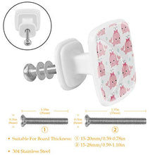 Set di 4 maniglie rotonde per armadio da cucina, credenza, cassettiera, cassettiera, con viti, per cucina, comò, armadietto, bagno, armadio con motivo a delfini cartoni animati con fiocco