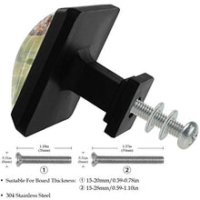 Tartaruga divertente 3 PCS Pomelli per Porta, Pomolo per Mobile, Pomelli per Mobili con Viti, Maniglia per Armadietto, Pomelli per Porta, Pomelli per Cassetti per Porta, Armadio, Cassetto e Credenza