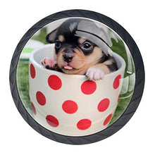 Wetia Coppa Primavera per Cani per la Cucina di casa Armadio Armadio Armadio Nero 3,5 x 2,8 cm