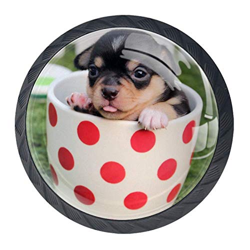 Wetia Coppa Primavera per Cani per la Cucina di casa Armadio Armadio Armadio Nero 3,5 x 2,8 cm
