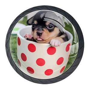 Wetia Coppa Primavera per Cani per la Cucina di casa Armadio Armadio Armadio Nero 3,5 x 2,8 cm