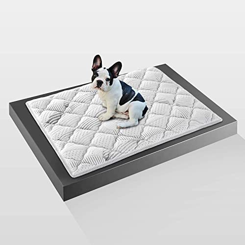 Farmarelax – Cuscino per Cane Taglia Grande in Memory Foam 90x120 cm – Materasso per Cane Sfoderabile, Lavabile, Morbido e Accogliente