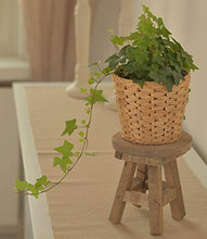 CHICCIE - Sgabello per piante in legno, rotondo, 16,5 cm, colore: Grigio naturale