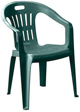 Sedia Verde con Braccioli | 2 Pezzi | Poltroncina in Plastica Impilabile da Giardino Garden Bar Interno Esterno Campeggio Balcone Pizzeria