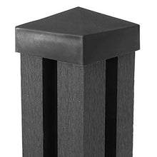 Mendler Pannello supplementare frangivento Stretto Privacy Sarthe WPC 95cm Antracite