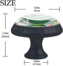 Benvenuti allo zoo Elephant Lion Peacock Giraffe Pomelli per Porta Set di 4 Pomelli per Mobili Manopole per Cassetti Cucina Armadio Vetro