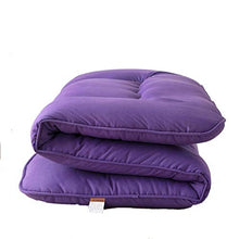 zyl Materasso Futon Tappetino Tatami Dormire Materasso Futon Tatami Pieghevole Materasso Dormitorio Giapponese Spessore Morbido 200cmX220cm