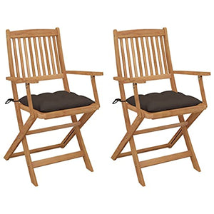 vidaXL Sedie da Giardino Pieghevoli 2pz con Cuscini Massello d'Acacia