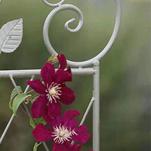 QILIN Palizzata del Giardino, Griglia in Ferro, Recinzione Decorativa, Barriera per Animali, Struttura per Rampicanti, Uccelli E Foglie, Verde Invecchiato/Bianco Invecchiato (2 Pezzi)