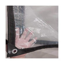 ETNLT-FCZ Telo Trasparente con Occhielli, Impermeabile Clear Tarpaulin Garden Tarp Foglio Pellicola Panno PE W/Eyelets Flower Plant Sheet Covers Pieve (Color : Transparent, Size : 2x3m)
