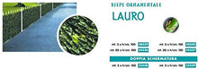 Il Campo 3x1,5 MT - SIEPE Ornamentale Lauro con Rete OMBREGGIANTE - Offerta X 4 Rotoli - Stock