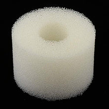 Fenteer Spugna Ingresso Acquario per Serbatoi d'Acqua di Mare, Serbatoi d'Acqua Dolce - Bianco 108x73mm, 108x73mm