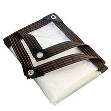 XIAOZHEN Tela Cerata Impermeabile Antivento Addensata Bordo Avvolto Pieghevole Telo Trasparente con Foro in Metallo Panno Impermeabile in Plastica per Occhi(Size:1x1m)