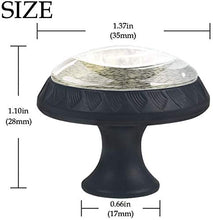 Raccoon and Palm Lamp Pomelli per Porta Set di 4 Pomelli per Mobili Manopole per Cassetti Cucina Armadio Vetro
