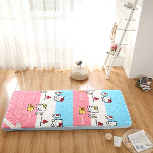Nileco Materassi Giapponesi Quilting Futon, Traspirabilità Materasso Tatami Stuoie Addensare Tappetino umidità-Prova Coprimaterasso Quattro Stagioni Disponibili-h 100x200cm(39x79inch)