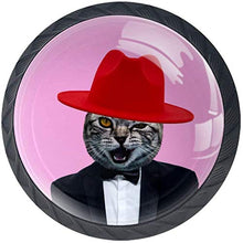 Bel signor gatto con abito nero cappello a cilindro rosso rosa Pomelli per Porta Set di 4 Pomelli per Mobili Manopole per Cassetti Cucina Armadio Vetro
