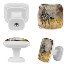 Zebra retrò 4 PCS Pomelli per Porta, Pomolo per Mobile, Pomelli per Mobili con Viti, Maniglia per Armadietto, Pomelli per Porta, Pomelli per Cassetti per Porta, Armadio, Cassetto e Credenza