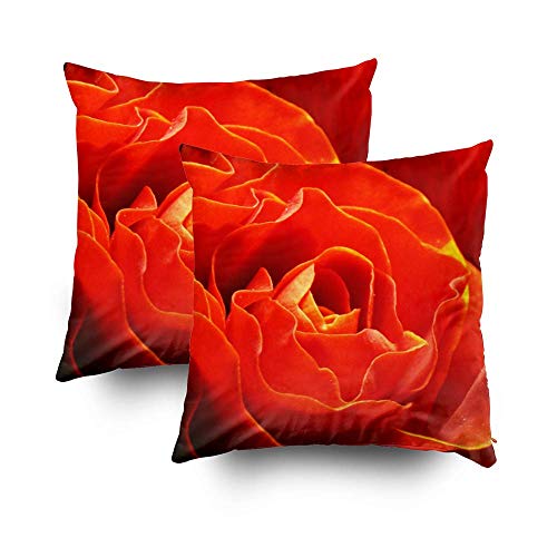 Kris.D Fodera per Cuscino, Fodera per Cuscino Decorativa Quadrata 18x18 Pollici, Fodere per Cuscino The Flame of The Rose Rose Flo Stampa su Stampaper la casa Divano Set di Decorazioni 2 Pezzi Federa