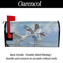 Dalmatian Pelican Blue Ocean Sky Mailbox Covers Magnetico Estate Divertente Due Uccelli Animali Giardino Giardino Cortile Casa Decor Dimensioni Standard 53,3 cm x 45,7 cm