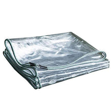 YYFANG Telone Trasparente,Tenda Impermeabile Resistente in PVC Trasparente, Copertura Vegetale Ispessita Lastra di Plastica con Occhielli in Metallo, 25 Dimensioni (Color : Chiaro, Size : 2.4x6m)