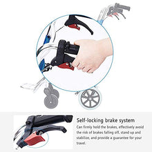 Sedie A Rotelle Leggere per Adulti | Carrozzine da Trasporto Leggere Pieghevoli - Drive Medical Walker | Larghezza Seduta 30 Cm | Peso Massimo Supportato 75 kg A