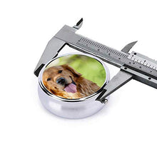 Scatola rotonda per medicina portatile, mini pillole in metallo, dispenser per pillole tascabili, borsa da viaggio, idea regalo per cani