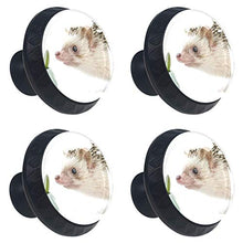 Pianta animale 4 PCS Pomelli per Porta, Pomolo per Mobile, Pomelli per Mobili con Viti, Maniglia per Armadietto, Pomelli per Porta, Pomelli per Cassetti per Porta, Armadio, Cassetto e Credenza