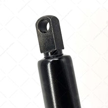 Cortassa Pistoni di Ricambio per Letti Contenitore Testina a foro/48 cm/Matrimoniale (1000N)