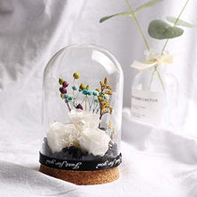 QYMX Eternal Flower ， Copertura in Vetro Floreale Decorare Eternal Rose in Flask Flower Floreale Bella per San Valentino Compleanno Regalo di Nozze di Natale