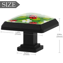 Coccinella floreale 3 PCS Pomelli per Porta, Pomolo per Mobile, Pomelli per Mobili con Viti, Maniglia per Armadietto, Pomelli per Porta, Pomelli per Cassetti per Porta, Armadio, Cassetto e Credenza