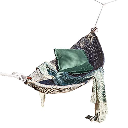 Loberon Amaca Bandera, Marrone