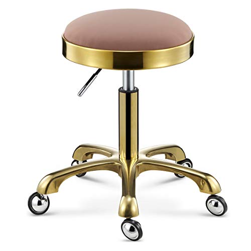 LY Rotolamento girevole Salon sgabello, sedia idraulica con ruote, altezza regolabile resistente Sgabello Sedia for Massaggio Medico estetista Artist Studio e casa, 330 lbs Portata ( Colore : Rosa )