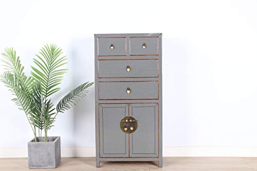 Yajutang - Cassettiera cinese con 4 cassetti, 2 ante, colore: grigio