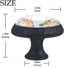 Giraffe Due teste divertenti Pomelli per Porta Set di 4 Pomelli per Mobili Manopole per Cassetti Cucina Armadio Vetro