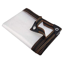 SHIJINHAO Telo Impermeabile Esterno,Tarpaulina Trasparente Plastica Impermeabile Ad Uso Resistente con Occhielli in Metallo for Campeggio Impianti A Terra Copertura Antipioggia, 40 Dimensioni
